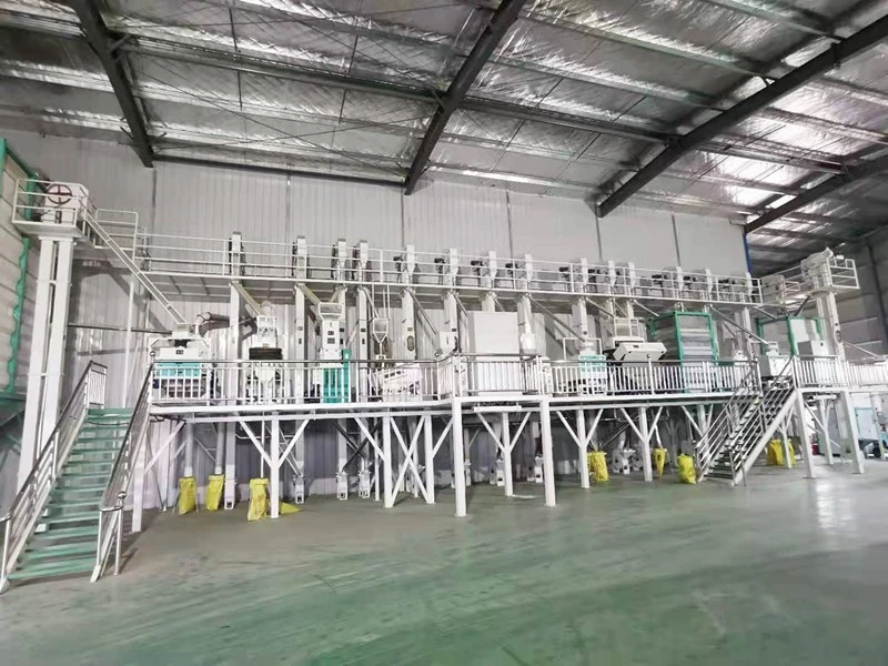 page-800-600